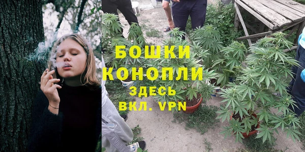 СК Медногорск